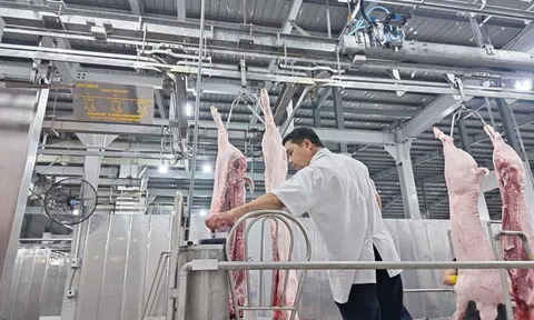 Đề nghị khẩn trương thành lập lại trạm thú y cấp huyện