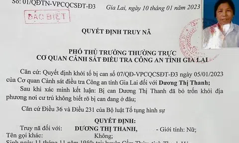 Cụ bà 73 tuổi bán rau lừa đảo 14 tỉ đồng