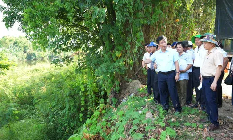 Chủ tịch tỉnh "thị sát" chỉ rõ nhiều điểm chưa phù hợp của dự án kè sông