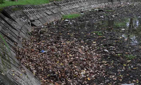 Một số hồ nước ở Hà Nội cạn khô, trơ đáy