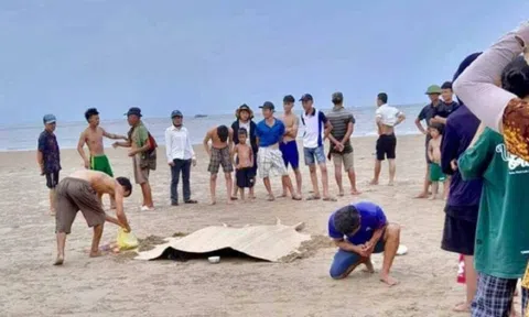 3 trẻ nhỏ chết đuối khi cùng ông ngoại đi tắm biển