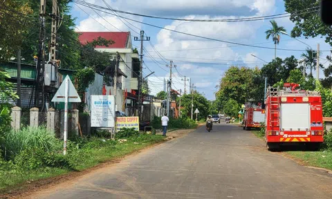 Sau thư kêu gọi, 2 đối tượng liên quan vụ tấn công trụ sở xã ở Đắk Lắk ra đầu thú