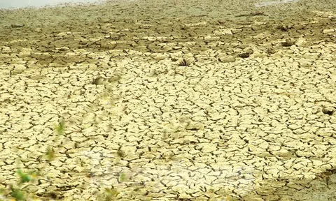 Nắng nóng khốc liệt, nhiều hồ đập ở Nghệ An cạn trơ đáy