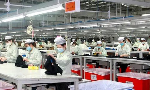 Quảng Ninh: Tạo việc làm mới cho gần 10 nghìn lao động