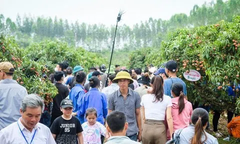 Biển người nô nức tham dự chương trình du lịch Lục Ngạn mùa vải chín