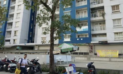 Tiền đã bồi thường trong vụ cháy chung cư Carina là bao nhiêu?