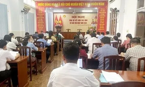 Kiên Giang: Có 6 cá nhân được xác minh tài sản kê khai chưa đủ thông tin