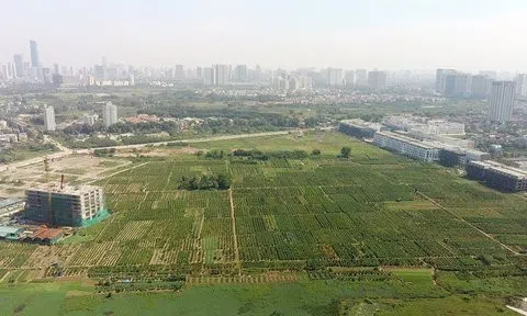 Đất bỏ hoang bao nhiều năm thì mất quyền sử dụng?