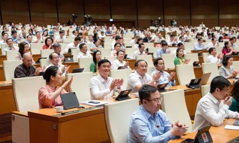 Quốc hội chốt áp giá trần vé máy bay, sách giáo khoa