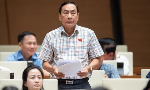 Đại biểu Phạm Văn Hòa: Nhiều người nước ngoài núp bóng, thu mua nhiều đất đai