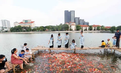 Ngất ngây sắc màu của vạn con cá Koi khi đến hồ Tây