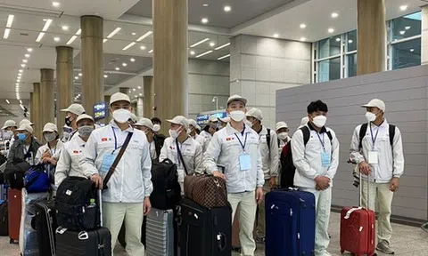 Hơn 46.000 lao động Việt Nam đang ‘làm việc chui’ ở nước ngoài