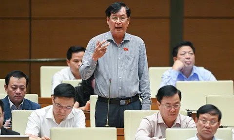 Băn khoăn "căn cước công dân" hay "căn cước"!