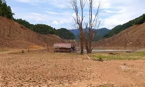 Nghệ An đứng trước nguy cơ hạn hán diện rộng, cuộc sống bị đảo lộn