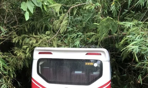 Xe khách chở 25 người lao xuống vực ở Bình Thuận