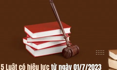 5 Luật có hiệu lực từ 01/7/2023