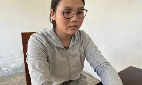 Tạm giữ hình sự nữ Giám đốc Công ty TNHH Hoàng Anh Land