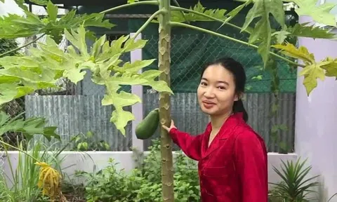 Cuộc sống Tiết Cương bên vợ kém 26 tuổi