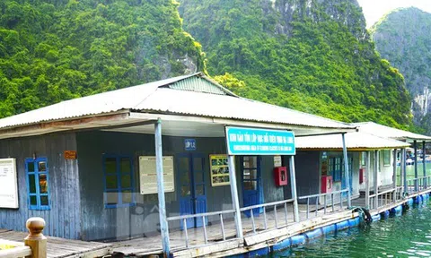 Làng chài thuộc top đẹp nhất thế giới ở vịnh Hạ Long đang 'chìm' dần