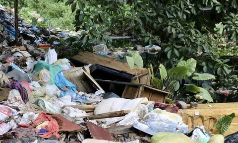 Đoạn sông ngập rác, bốc mùi hôi thối ở Hà Nội