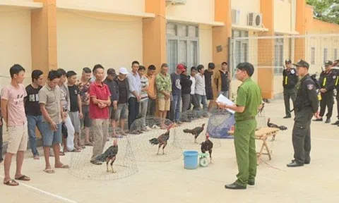 Phá sới gà "khủng" bắt 142 người đang đá gà ăn tiền