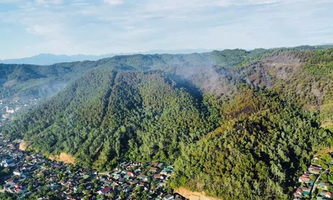 Cận cảnh hàng ngàn lượt người vật lộn với đám cháy rừng thông suốt 16 giờ