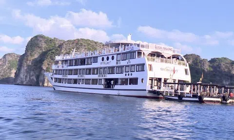 Phát hiện tàu du lịch 5 sao cho khách 'tắm chui' trên vịnh Hạ Long