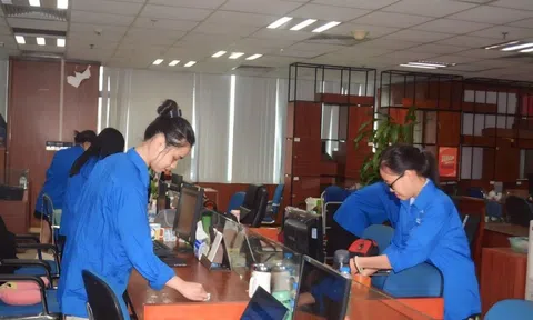 Tuổi trẻ Hội Luật gia Việt Nam hưởng ứng “Ngày chủ nhật xanh lần 3"