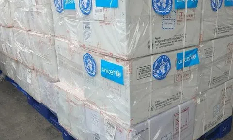 Việt Nam nhận 258.000 liều vắc-xin "5 trong 1": Ai được ưu tiên tiêm trước?