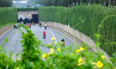 Mãn nhãn với bức tường của hầm chui được phủ kín cây xanh ở Hà Nội những ngày oi bức