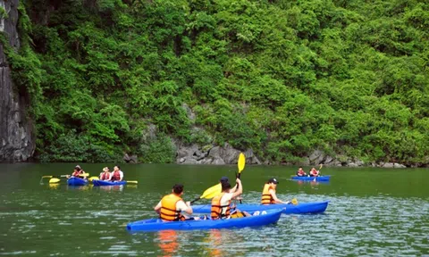 Vịnh Hạ Long đón gần 1,5 triệu lượt du khách 7 tháng đầu năm