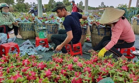 Xuất khẩu rau quả “bùng nổ”, dự kiến có thể đạt 5 tỷ USD năm 2023