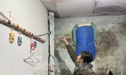 Đường Hồ Chí Minh bất ngờ sụt lún, nhiều nhà dân bị đe doạ