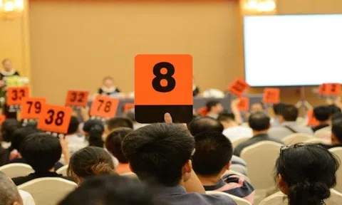Đấu giá hơn 200 nghìn cuộc: Giá trúng chênh lệch với giá khởi điểm gần 110 nghìn tỷ đồng