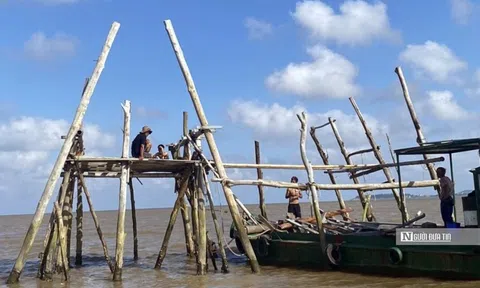 Hải Phòng: Di dời, giải tỏa hơn 260 ha nuôi ngao không phép