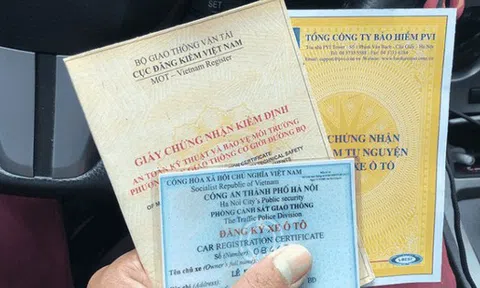 8 trường hợp bị thu hồi cà vẹt, biển số xe từ ngày 15-8