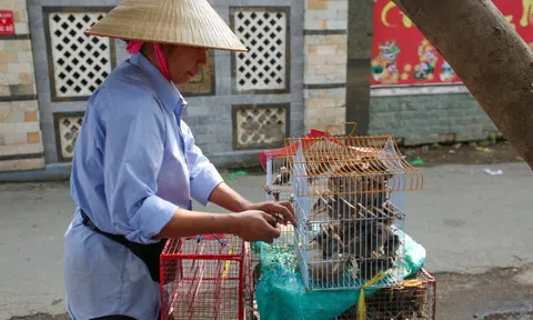 "Công nghệ" phóng sinh