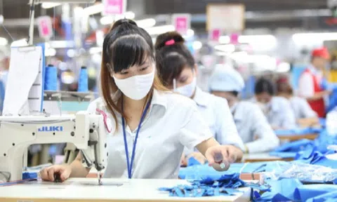 Tiếp tục dành 145 tỷ đồng hỗ trợ lao động mất việc, giảm việc