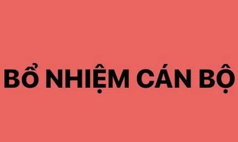 Bổ nhiệm ông Trịnh Mạnh Linh làm Trợ lý Thủ tướng Phạm Minh Chính