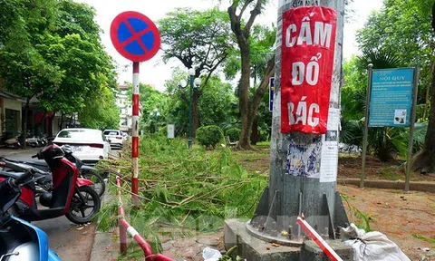 Cảnh nhếch nhác xuống cấp, phế thải bủa vây ở vườn hoa giữa Thủ đô