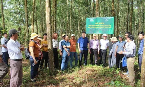 5 yếu tố giúp phát triển mô hình cộng đồng hiệu quả