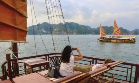 Sắp 'xóa sổ' thuyền buồm du lịch vịnh Hạ Long?