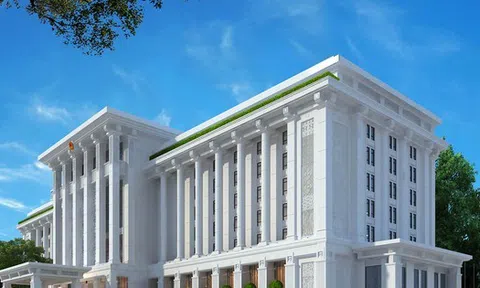 Văn phòng Chính phủ bổ nhiệm nhân sự mới