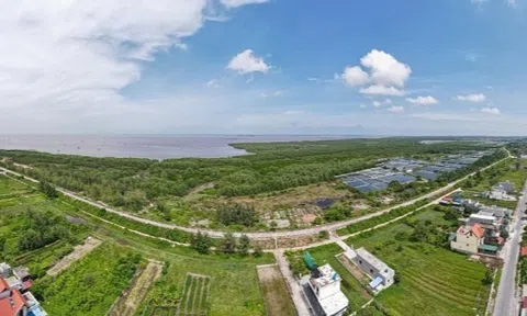 Khu bảo tồn Tiền Hải bị thu hẹp 90% diện tích?