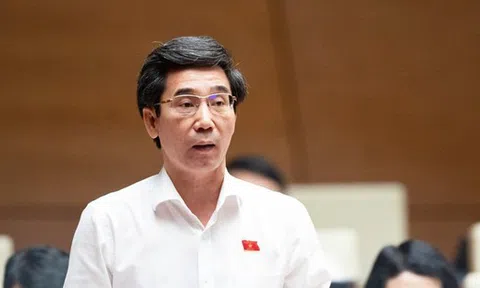 Thủ tướng phê chuẩn kết quả bầu Phó Chủ tịch Đà Nẵng