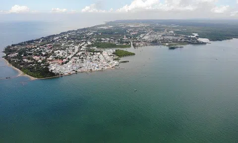 Đề cử rừng phòng hộ Cần Giờ thành khu Ramsar