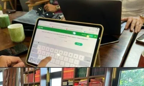 Nóng: Tạm dừng đấu giá biển số ô tô vì trục trặc kỹ thuật