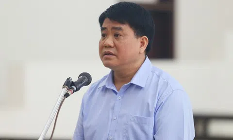 Ngày mai, ông Nguyễn Đức Chung cùng dàn cựu lãnh đạo công ty cây xanh hầu tòa