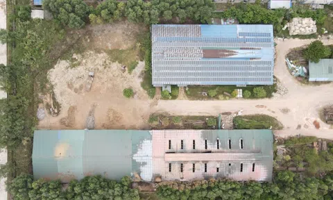 Hiện vật di tích lịch sử "nằm trong kho doanh nghiệp" suốt 10 năm