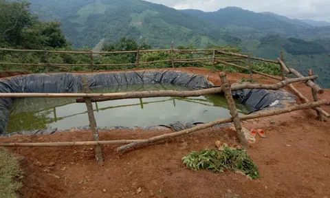 Bàng hoàng phát hiện thi thể 3 trẻ chăn trâu dưới hồ trữ nước